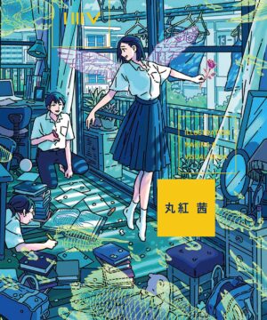 ILLUSTRATION MAKING & VISUAL BOOK Akane Marubeni