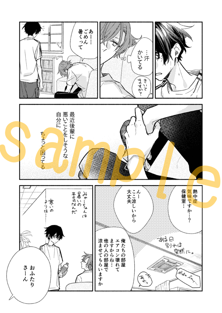 Sasaki and Miyano Vol 6 - Brand New English Manga Boys Love Yaoi Shou  Harusono 9781975341923