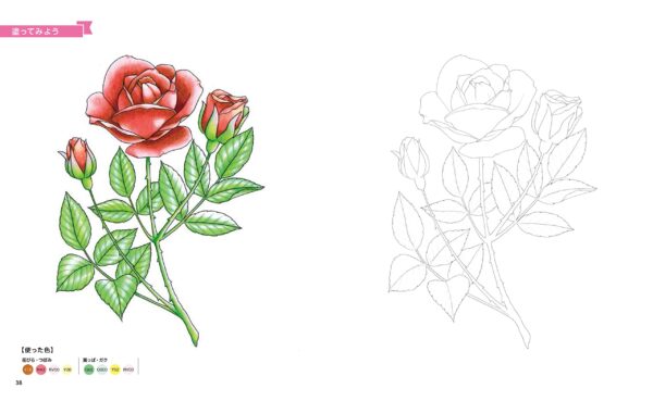 Learning with Coloring Book: COPIC Basic from One Apple to Jewelry, Sweets, and People - Image 3