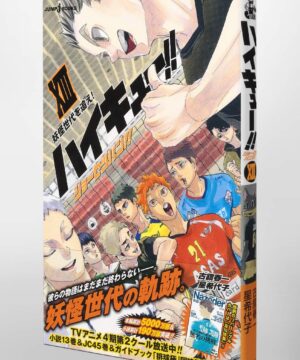 Haikyuu!! Light Novel Vol.13