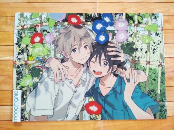 [Ready Stock New] Kanna Kii Clearfile