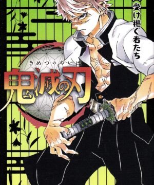 Kimetsu no Yaiba vol. 17 (Koyoharu Gotouge)