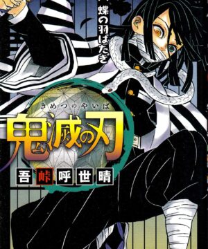 Kimetsu no Yaiba vol. 19 (Koyoharu Gotouge)