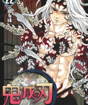 Kimetsu no Yaiba vol. 22 (Koyoharu Gotouge)
