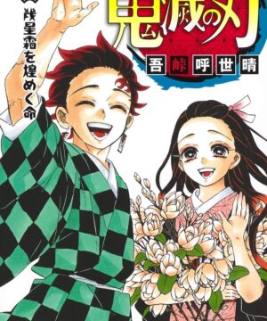 Kimetsu no Yaiba vol. 23 (Koyoharu Gotouge)