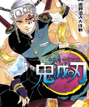 Kimetsu no Yaiba vol. 9 (Koyoharu Gotouge)