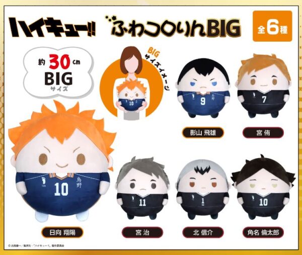[Limited] Haikyuu!! Fuwakororin BIG