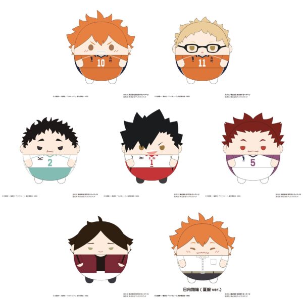 Haikyuu!! Fuwakororin (M size) Vol.5