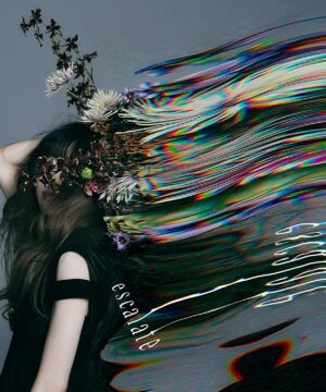 Aimer - escalate