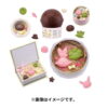 [LIMITED] Pokemon Chocolate Mold Pokepiece