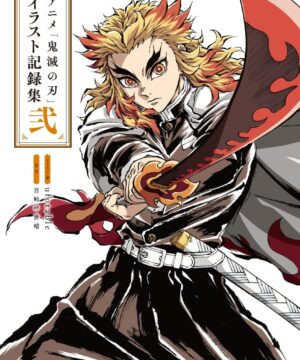 Kimetsu No Yaiba Artbook Vol.2 (Kirokushu)