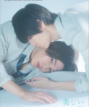Utsukushii Kare Official Visual Book