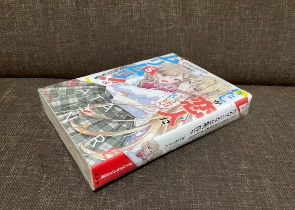 [Ready Stock] Watashi ga Koibito ni Nareru Wakenaijan Vol.5 - Image 2