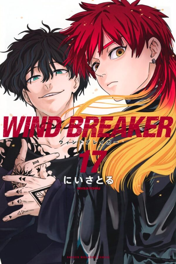 WIND BREAKER (Niisatoru) Vol.17