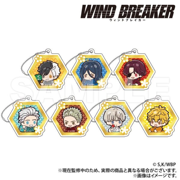 [Limited] Wind Breaker Goods by Smarprise - Image 5