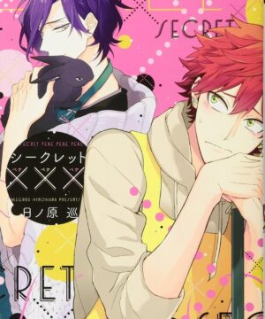 Secret xxx (Hinohara Meguru)