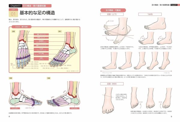 Shoe and Feet Design Collection for Illustrator - How to Draw Shoe - Image 2