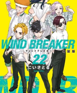 WIND BREAKER (Niisatoru) Vol.22