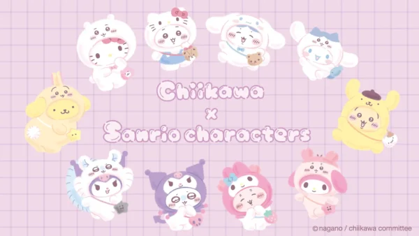 [Limited] Chiikawa X Sanrio Characters Goods